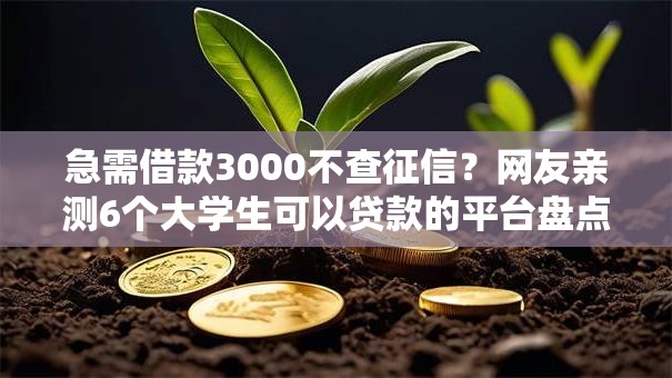 急需借款3000不查征信?网友亲测6个大学生可以贷款的平台盘点 急需借款3000不查征信?网友亲测6个大学生可以贷款的平台盘点