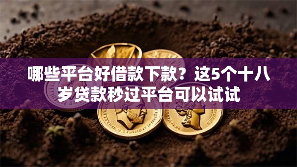 哪些平台好借款下款？这5个十八岁贷款秒过平台可以试试