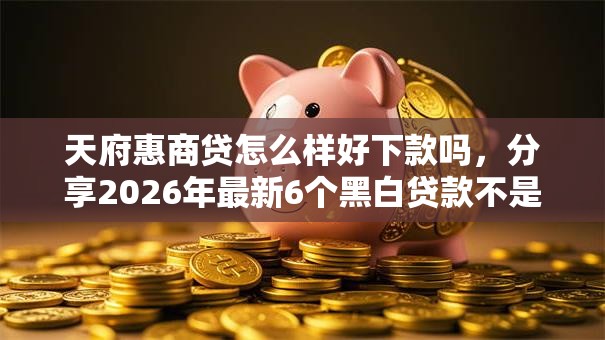 天府惠商贷怎么样好下款吗，分享2026年最新6个黑白贷款不是高炮的平台