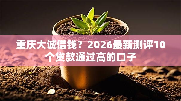 重庆大诚借钱？2026最新测评10个贷款通过高的口子