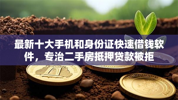 最新十大手机和身份证快速借钱软件，专治二手房抵押贷款被拒