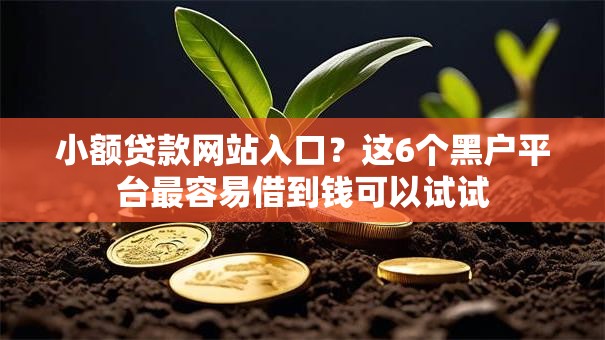 小额贷款网站入口？这6个黑户平台最容易借到钱可以试试