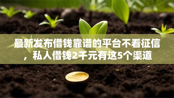最新发布借钱靠谱的平台不看征信，私人借钱2千元有这5个渠道