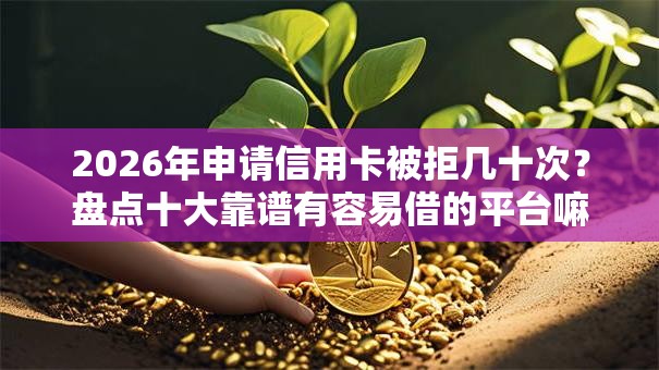 2026年申请信用卡被拒几十次？盘点十大靠谱有容易借的平台嘛