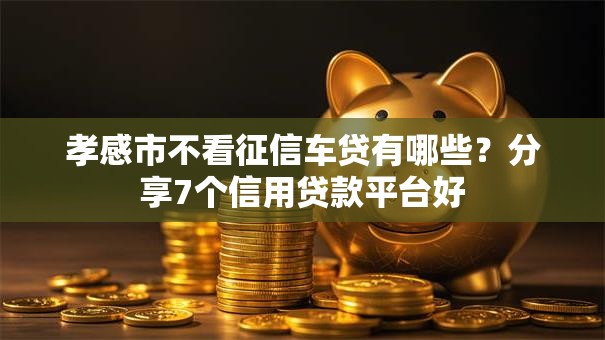 孝感市不看征信车贷有哪些？分享7个信用贷款平台好