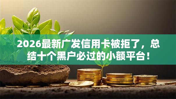 2026最新广发信用卡被拒了，总结十个黑户必过的小额平台！