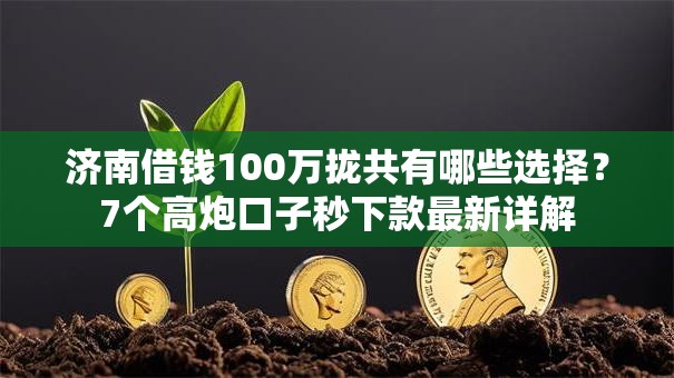 济南借钱100万拢共有哪些选择？7个高炮口子秒下款最新详解