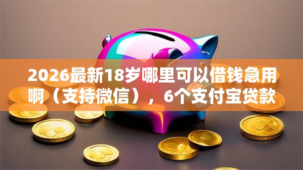 2026最新18岁哪里可以借钱急用啊（支持微信），6个支付宝贷款平台无私分享