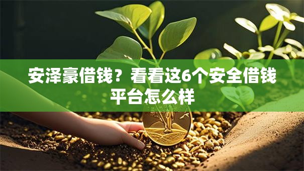 安泽豪借钱？看看这6个安全借钱平台怎么样