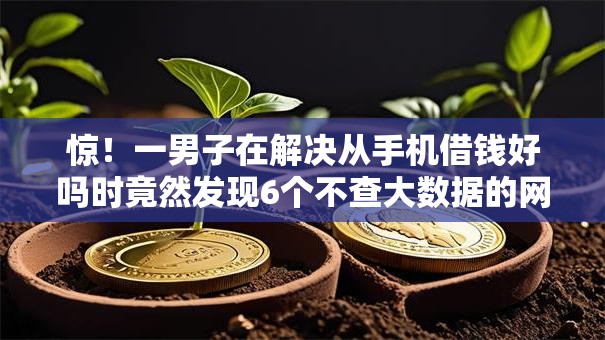 惊！一男子在解决从手机借钱好吗时竟然发现6个不查大数据的网贷口子，事后分享了出来