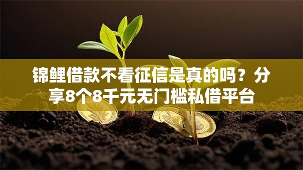 锦鲤借款不看征信是真的吗?分享8个8千元无门槛私借平台 锦鲤借款不看征信是真的吗?分享8个8千元无门槛私借平台