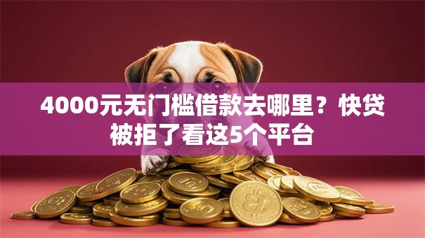 4000元无门槛借款去哪里？快贷被拒了看这5个平台