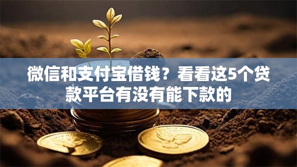 微信和支付宝借钱?看看这5个贷款平台有没有能下款的 微信和支付宝借钱?看看这5个贷款平台有没有能下款的