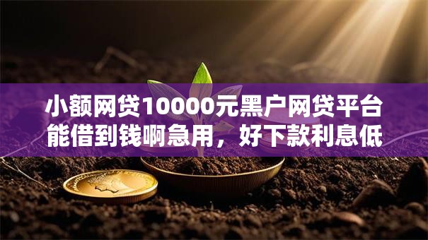 小额网贷10000元黑户网贷平台能借到钱啊急用，好下款利息低的正规网贷的7个平台介绍