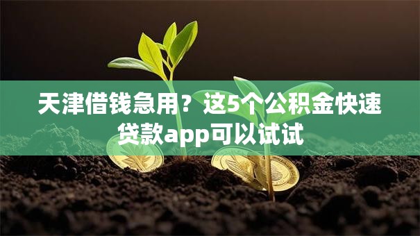 天津借钱急用？这5个公积金快速贷款app可以试试