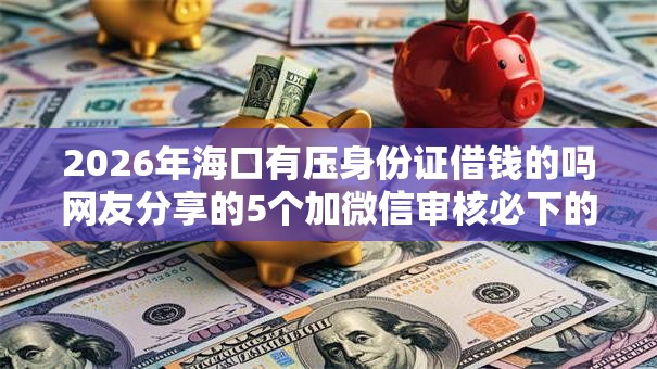 2026年海口有压身份证借钱的吗网友分享的5个加微信审核必下的网贷平台我觉得不错！
