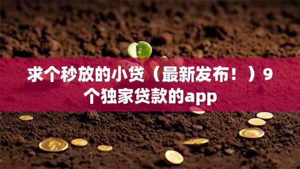 求个秒放的小贷（最新发布！）9个独家贷款的app