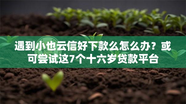 遇到小也云信好下款么怎么办?或可尝试这7个十六岁贷款平台 遇到小也云信好下款么怎么办?或可尝试这7个十六岁贷款平台