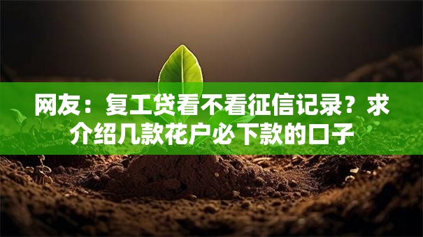 网友:复工贷看不看征信记录?求介绍几款花户必下款的口子 网友:复工贷看不看征信记录?求介绍几款花户必下款的口子