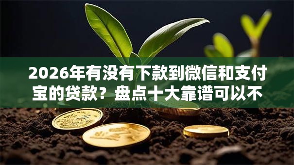 2026年有没有下款到微信和支付宝的贷款？盘点十大靠谱可以不看征信就能下款的软件