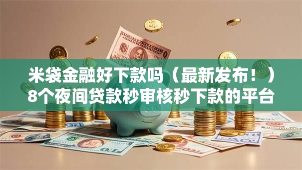 米袋金融好下款吗（最新发布！）8个夜间贷款秒审核秒下款的平台