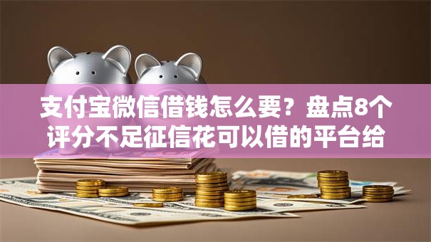 支付宝微信借钱怎么要？盘点8个评分不足征信花可以借的平台给你参考