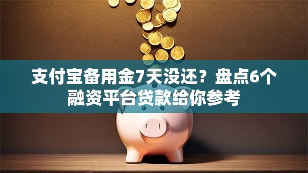 支付宝备用金7天没还？盘点6个融资平台贷款给你参考