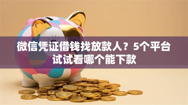 微信凭证借钱找放款人？5个平台试试看哪个能下款