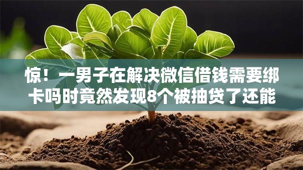 惊!一男子在解决微信借钱需要绑卡吗时竟然发现8个被抽贷了还能借钱的软件,事后分享了出来 惊!一男子在解决微信借钱需要绑卡吗时竟然发现8个被抽贷了还能借钱的软件,事后分享了出来