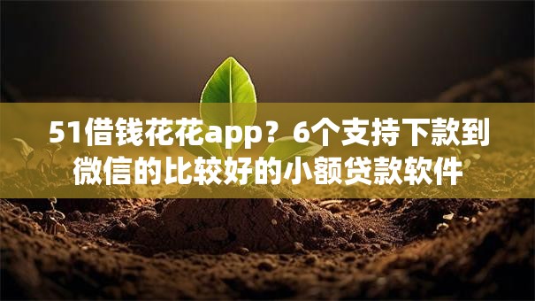 51借钱花花app？6个支持下款到微信的比较好的小额贷款软件
