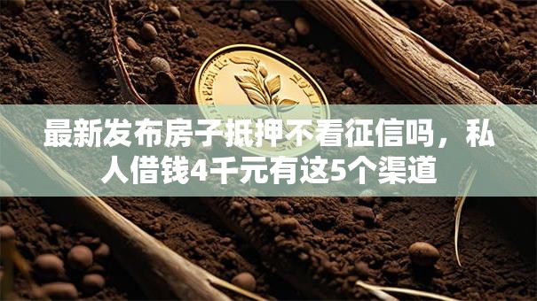 最新发布房子抵押不看征信吗，私人借钱4千元有这5个渠道