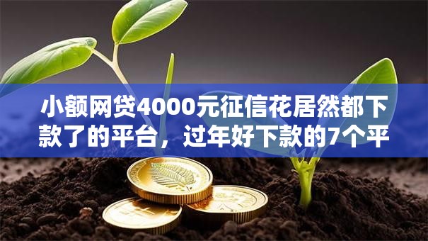 小额网贷4000元征信花居然都下款了的平台，过年好下款的7个平台介绍