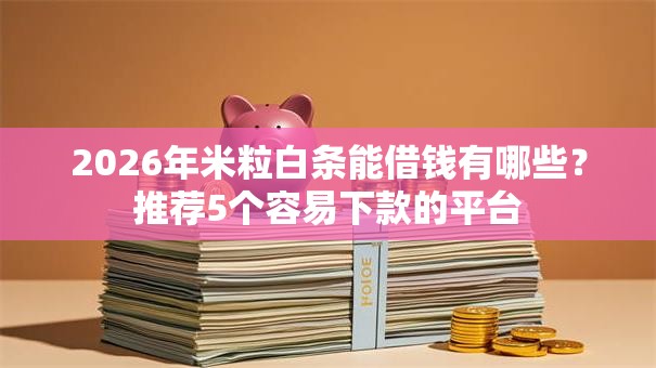 2026年米粒白条能借钱有哪些？推荐5个容易下款的平台