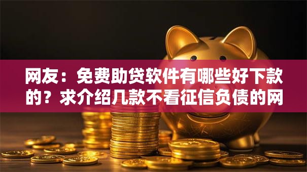 网友：免费助贷软件有哪些好下款的？求介绍几款不看征信负债的网贷百分百下款口子