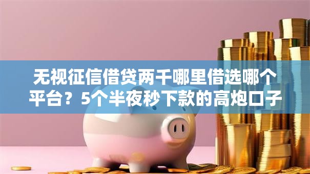 无视征信借贷两千哪里借选哪个平台？5个半夜秒下款的高炮口子推荐