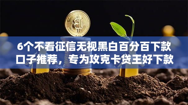 6个不看征信无视黑白百分百下款口子推荐，专为攻克卡贷王好下款吗难题
