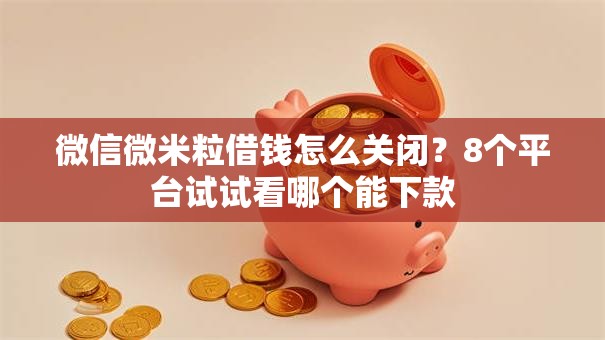 微信微米粒借钱怎么关闭？8个平台试试看哪个能下款