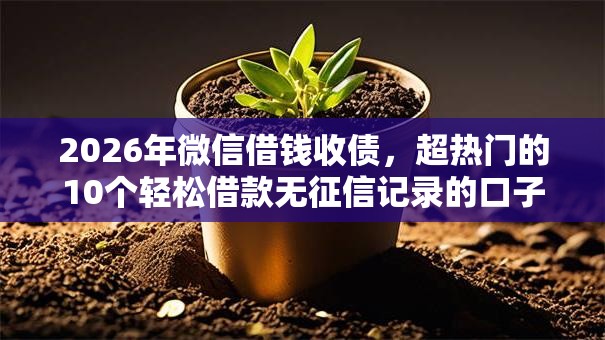 2026年微信借钱收债，超热门的10个轻松借款无征信记录的口子推荐