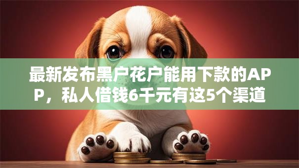 最新发布黑户花户能用下款的APP，私人借钱6千元有这5个渠道