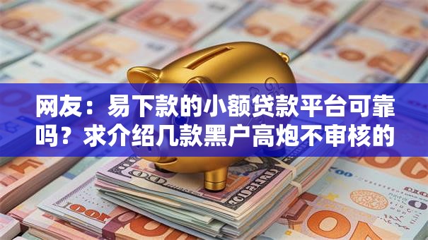 网友：易下款的小额贷款平台可靠吗？求介绍几款黑户高炮不审核的口子