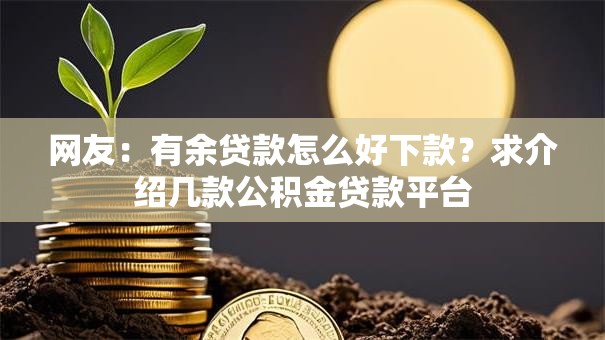 网友：有余贷款怎么好下款？求介绍几款公积金贷款平台