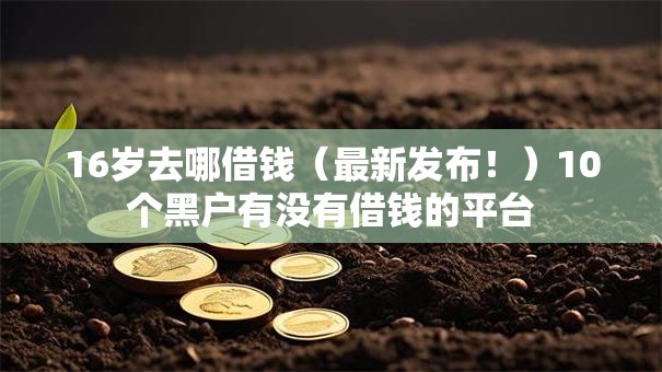 16岁去哪借钱（最新发布！）10个黑户有没有借钱的平台