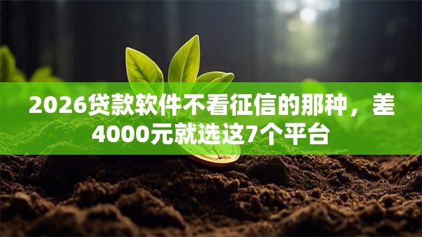 2026贷款软件不看征信的那种,差4000元就选这7个平台 2026贷款软件不看征信的那种,差4000元就选这7个平台