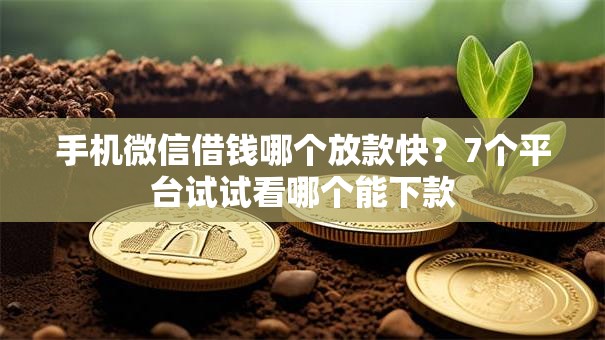 手机微信借钱哪个放款快？7个平台试试看哪个能下款