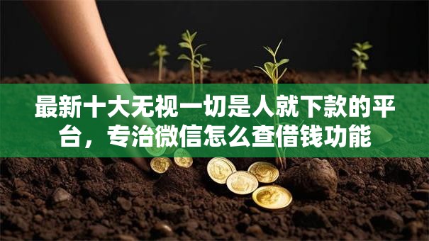 最新十大无视一切是人就下款的平台，专治微信怎么查借钱功能