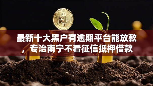 最新十大黑户有逾期平台能放款,专治南宁不看征信抵押借款 最新十大黑户有逾期平台能放款,专治南宁不看征信抵押借款