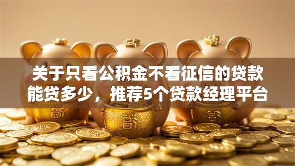 关于只看公积金不看征信的贷款能贷多少，推荐5个贷款经理平台给你
