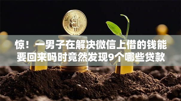 惊！一男子在解决微信上借的钱能要回来吗时竟然发现9个哪些贷款平台是正规的，事后分享了出来