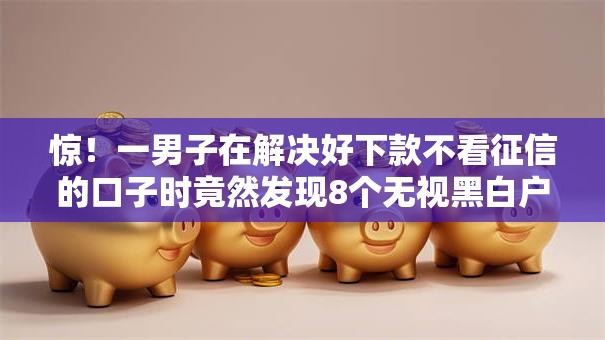 惊！一男子在解决好下款不看征信的口子时竟然发现8个无视黑白户的下款口子，事后分享了出来