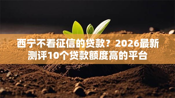 西宁不看征信的贷款？2026最新测评10个贷款额度高的平台